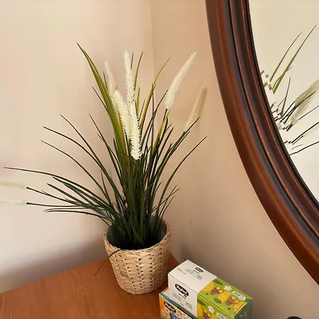 Frühstückspension Altea 3*